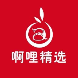 啊哩精选电商小程序案例